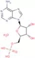 Adenosine 5'-monophosphate monohydrate