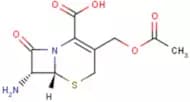 7-Aminocephalosporanic acid