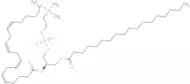 1-Stearoyl-2-arachidonoyl-sn-glycero-3-phosphocholine