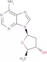 2',5'-Dideoxyadenosine