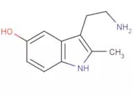 2-Methyl-5-HT