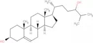 24-Hydroxycholesterol