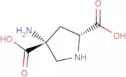 (2R,4R)-APDC