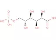 6-Phosphogluconic acid