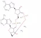 ADU-S100 enantiomer ammonium salt