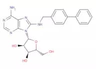 CNT2 inhibitor-1