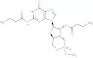 Dibutyryl-cGMP sodium