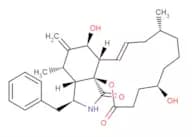 Dihydrocytochalasin B