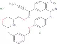 Epertinib hydrochloride