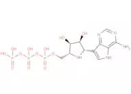 Galidesivir triphosphate