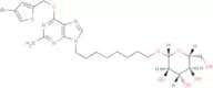 O6BTG-octylglucoside