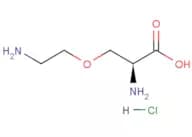 L-4-Oxalysine hydrochloride