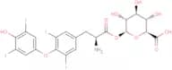 Levothyroxine acyl glucuronide