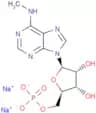 N6-Methyladenosine 5'-monophosphate disodium salt