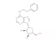 N6-(2-Phenylethyl)adenosine