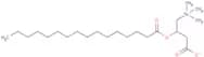 Palmitoylcarnitine