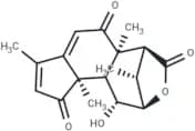 Laurycolactone B