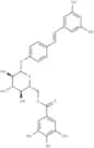 Resveratrol 4'-(6-galloylglucoside)