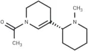N'-Methylammodendrine