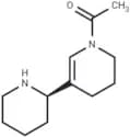 Isoammodendrine