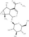 Phlorigidoside C