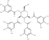 1,2,3,4-Tetragalloylglucose