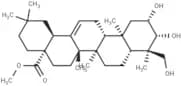 Bayogenin methyl ester