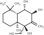 Drim-8(12)-ene-6β,7α,9α,11-tetraol