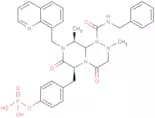 β-catenin/CBP-IN-1