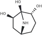 Calystegine A6