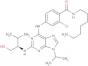 Protein kinase affinity probe 1