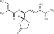 Phomopsolidone B