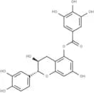 (+)-atechin 5-gallate