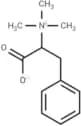 Phenylalanine N,N,N-Tri-Me betaine