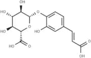 Caffeic acid 4-O-glucuronide