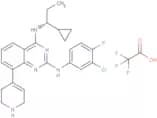 RAS GTPase inhibitor 1