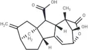 13-Deoxy-Isogibberellic acid