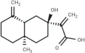 7-Hydroxy--costic acid