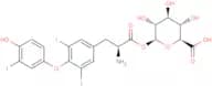 T3 Acyl glucuronide