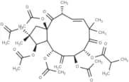 2,3,5,7,8,15-Hexahydroxy-6(17),11-jatrophadiene-9,