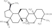 Betulinic acid (Mairin; Gratiolone; Platanol)