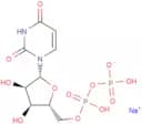Uridine 5'-diphosphate sodium salt