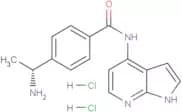 Y-33075 dihydrochloride