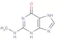 N2-methylguanine