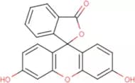 Fluorescein