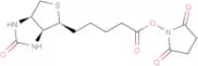 Biotin NHS