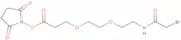 Bromoacetamido-PEG2-C2-NHS ester