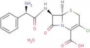 Cefaclor monohydrate
