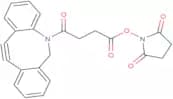 DBCO-NHS ester