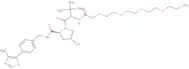 (S,R,S)-AHPC-PEG4-NH2